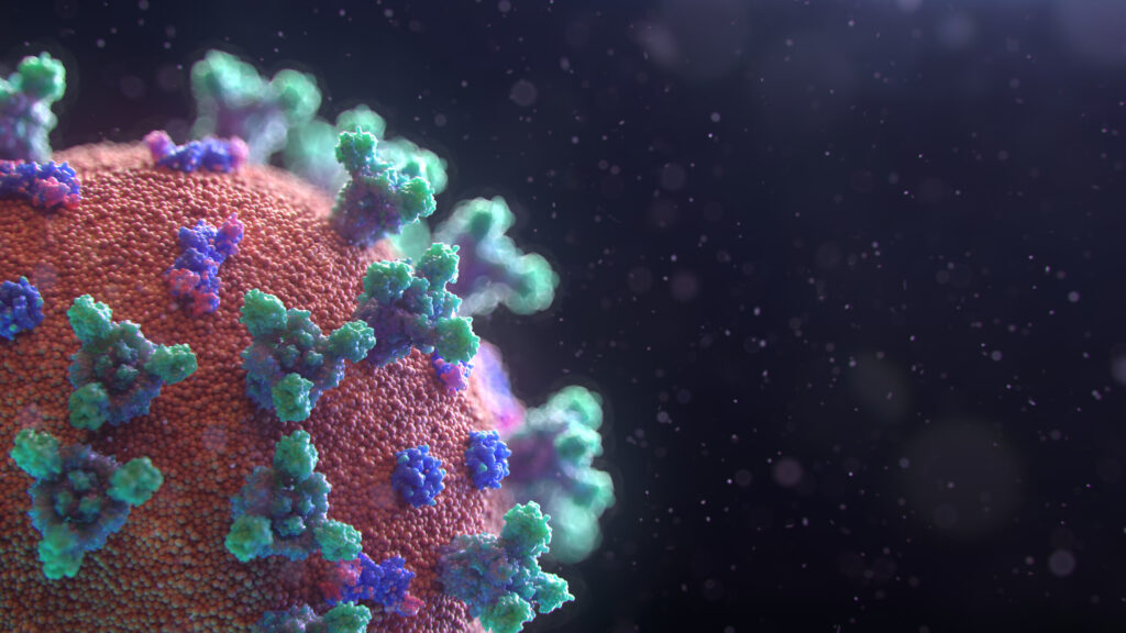 3D visualization of the Covid-19 virus