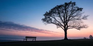 A quiet sunrise over a park bench, a reminder of unusual lung cancer warning signs.
