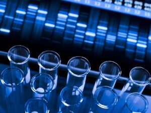 Genetic research at the laboratory