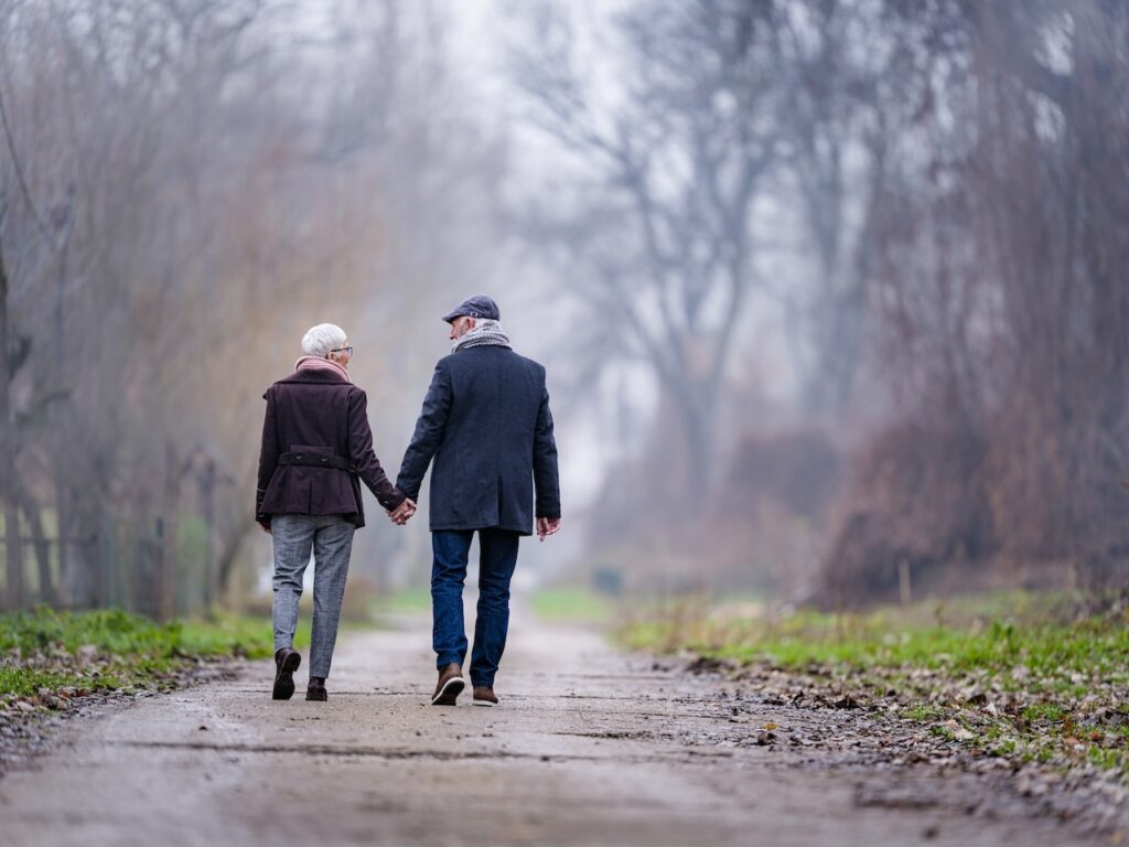 Back view of a mature couple talking a walk in the park.