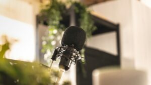 close up of a microphone surrounded by greenery in a studio