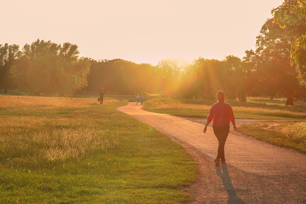 people walking in a park during sunset