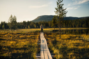 New research highlights the importance of walking after surgery
