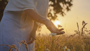 Why mindfulness is a clinical necessity in cancer care