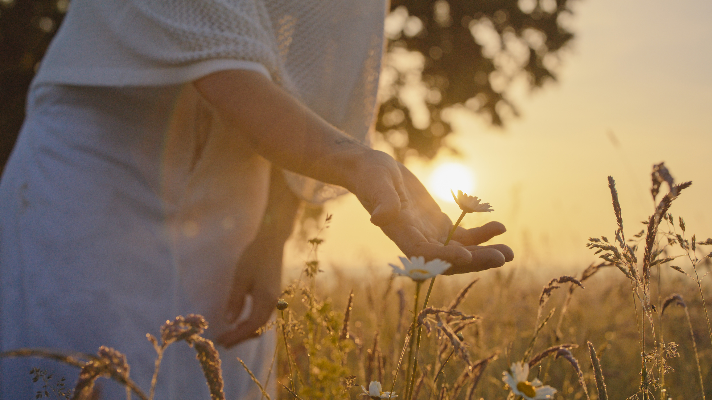 Why mindfulness is a clinical necessity in cancer care