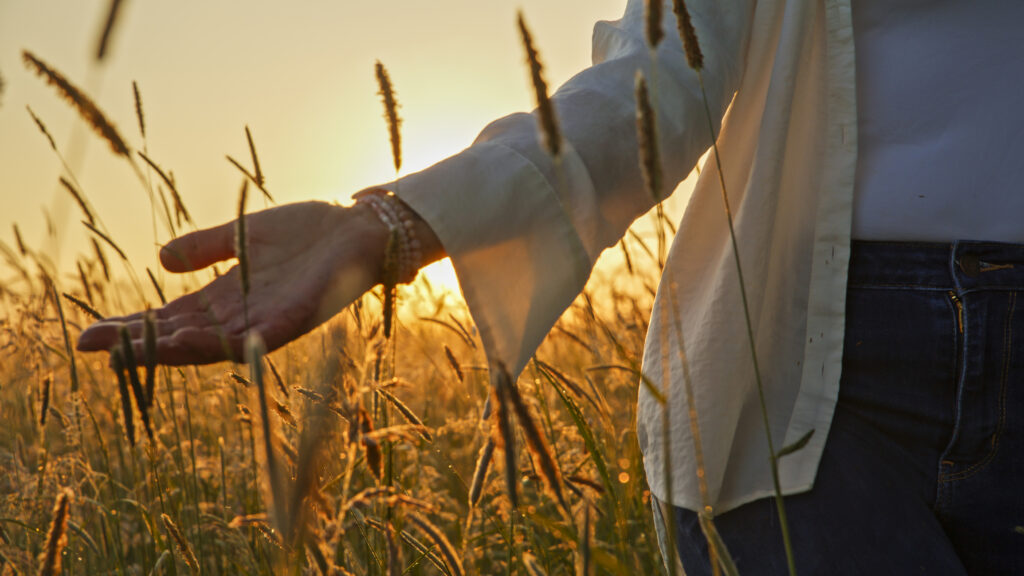 Woman Gently Caressing Meadow Wildflowers at Sunset