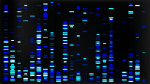 Polygenic risk scores for breast cancer: What PRS testing can and can’t tell you